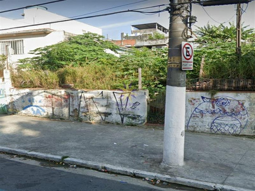 Terreno Parque Boturussu São Paulo/sp - 2415
