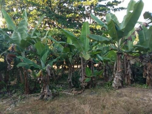 Chácara Em Itariri Não Perca - 7241