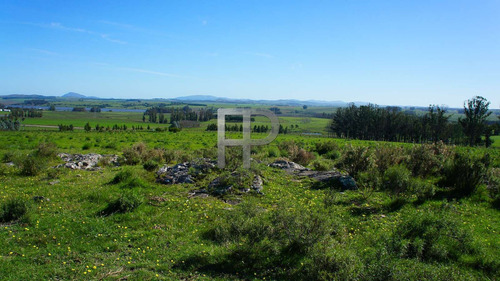 Imagen 4 de 6 de Campo En Venta Laguna Del Sauce 5 Hectáreas