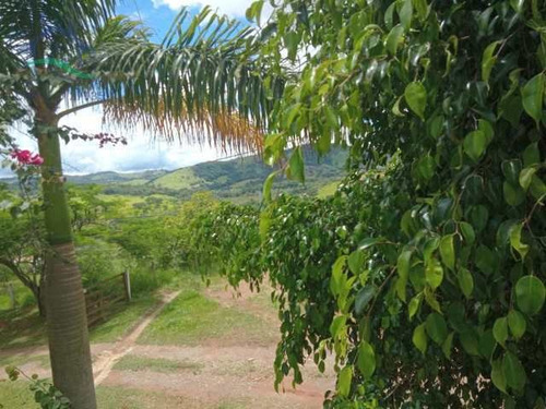 Imagem 16 de 21 de Chácara Com 3 Dorms, Batatuba, Piracaia - R$ 680 Mil, Cod: 3265 - V3265