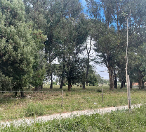 Terreno De 620mts En Mar Del Plata. Al Día. Titular.