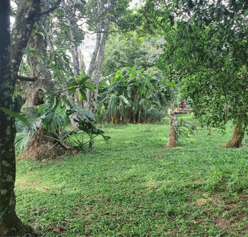 Chacra En Venta- Quinta