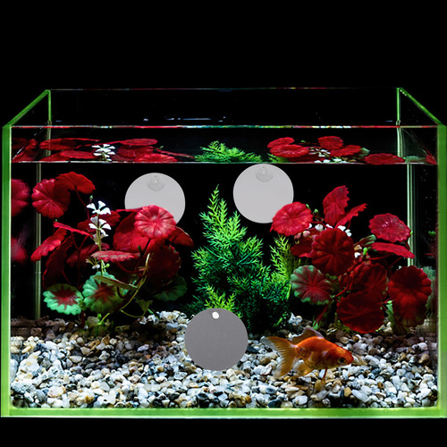 Espejo De Entrenamiento Fish Tank Plants Betta, 10 Unidades
