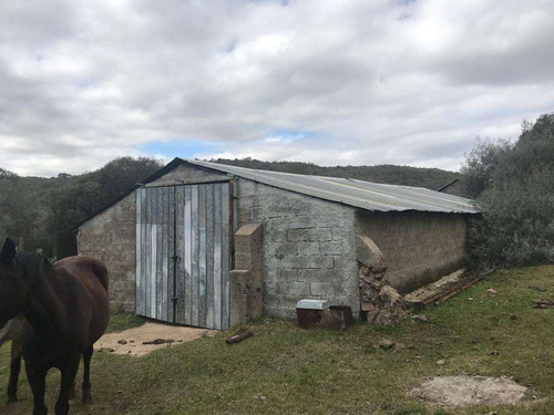 Campo 40 Hectáreas En Poblado Colón, Lavalleja