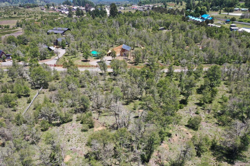 Terreno 5.000 M2 Sector Los Ñirres, Malalcahuello