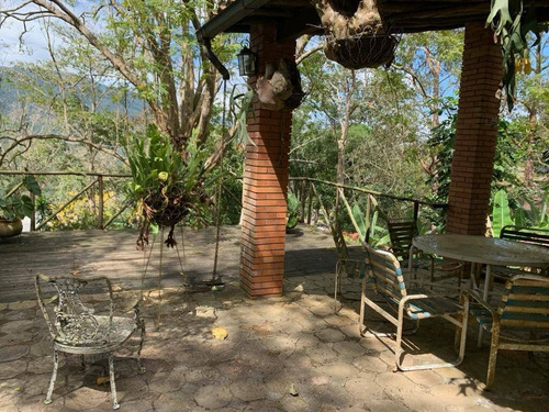 Imagen 13 de 14 de Venta Finca Bejuma Cod. 142753 Marizoila 04144146049