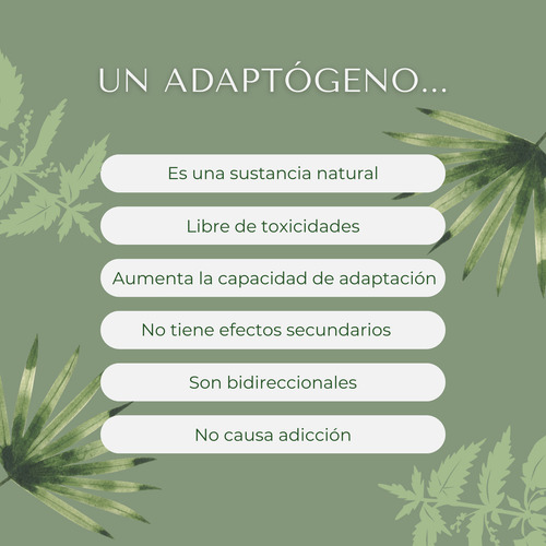 Artemisa Annua Sweet Wormwood Extracto - 60ml