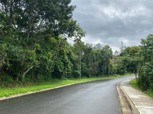 Terreno En Venta Alto Hatillo Mls #21-7085 Bm
