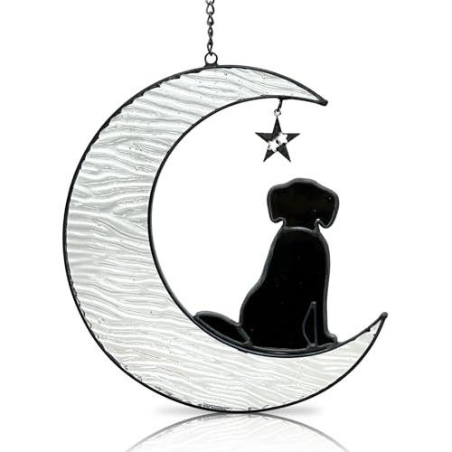 Regalos Conmemorativos Mascotas Diseño De Perro Luna, ...