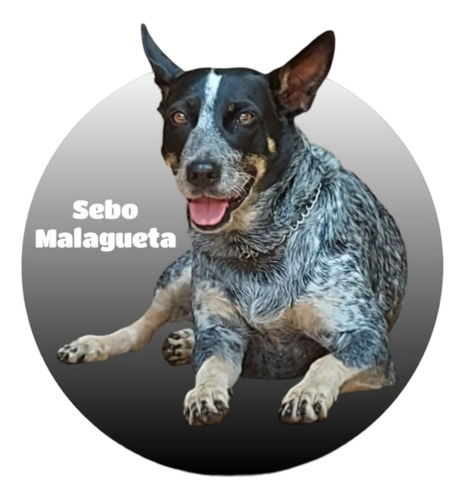 Hq Gibi Turma Da Mônica Nº 46 / A Grande Gincana / 66pg / Fevereiro 2019 / Mauricio De Sousa (a) E07