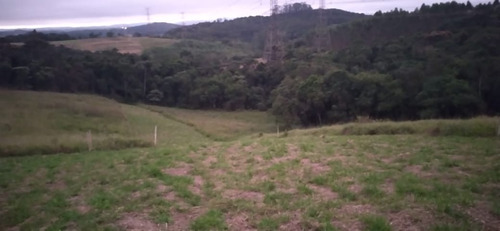 Imagem 12 de 18 de 11o- Terreno Próximo À São Roque