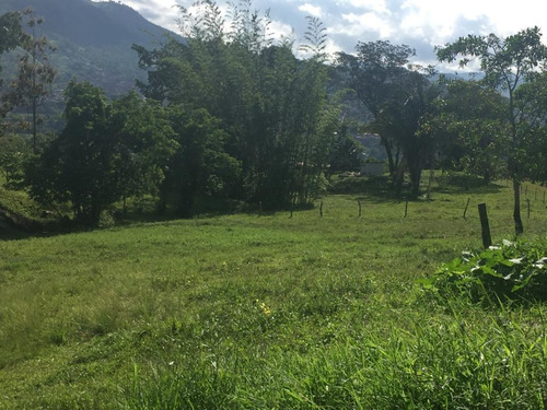 Imagen 2 de 3 de Venta De Terreno En Capacho