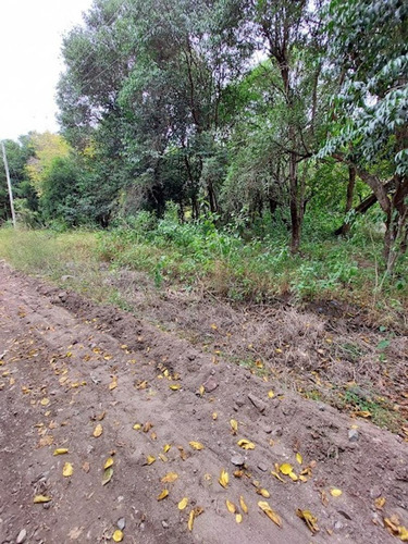 Imagen 3 de 12 de Vendo Lote En Agua De Oro! Ubicado A 3 Cuadras De La Ruta!