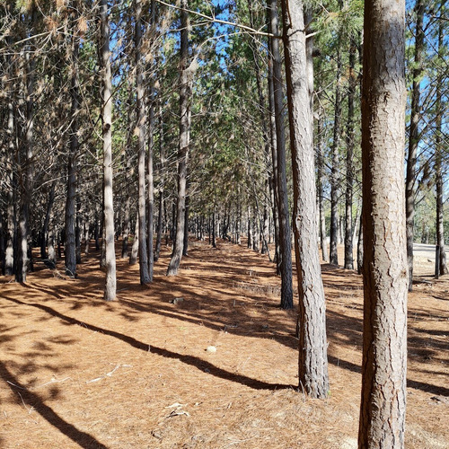Terreno En Exclusivo Condominio En Matanzas