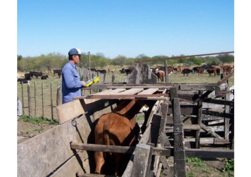 Imagen 5 de 12 de Balanza Para Hacienda