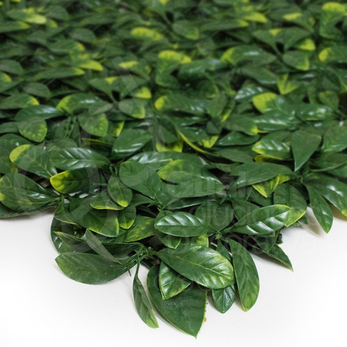 Jardin Vertical Pvc Planta Pared Exterior 50x50 090 Cuotas