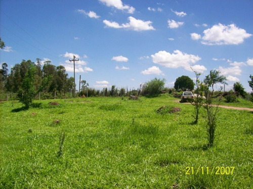 Chácara Com 4 Dormitórios À Venda, 49000 M² Por R$ 2.700.000,00 - Fazenda Monte D Este - Campinas/sp - Ch0487