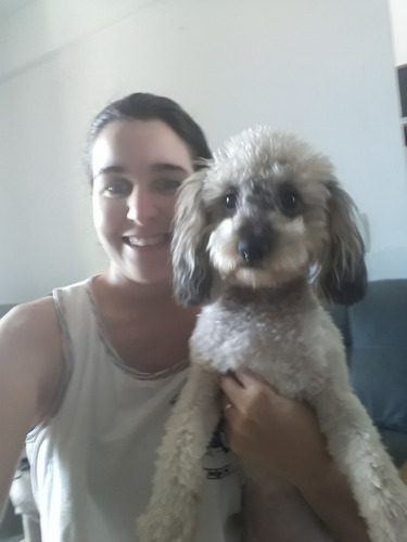 Imagem 3 de 3 de Hospedagem Domiciliar Para Cães Pequenos