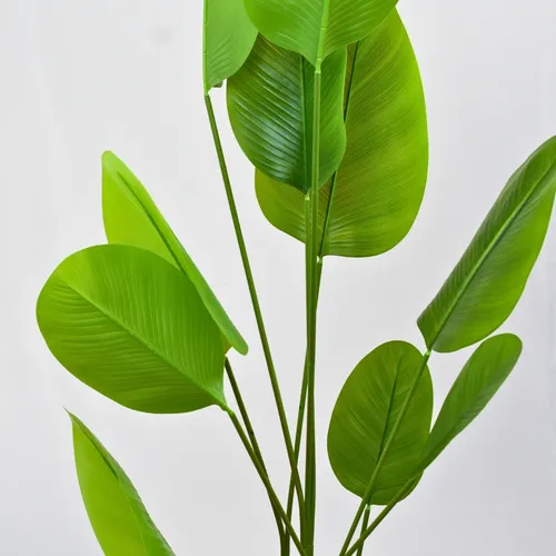 Planta Artificial Strelitzia Nicolai Hiperrealista Xl 180cm Color Verde