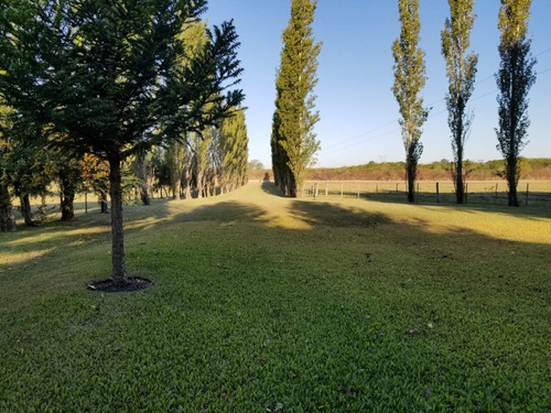 Gran Casco Con Vivienda De 5 Dormitorios 3 Baños, Pileta , 34 Hectareas,