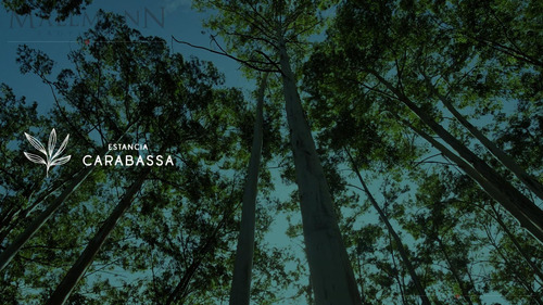Lote En Estancia Carabassa | Mallmann Propiedades