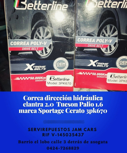 Correa Direccion Hidraulica Elantra 2.0 Tucson Palio 1.6 