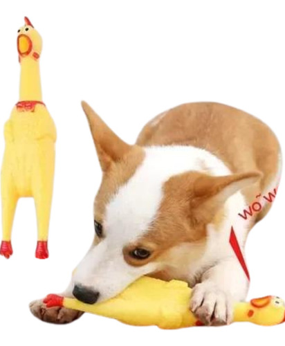Gallina Chillona Pollo Juguete 16 Cm Chifle Para Mascotas