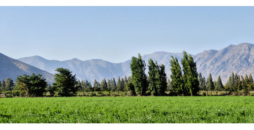 En Venta Terreno Agrícola De 4,5 Hectáreas, En Catemu.