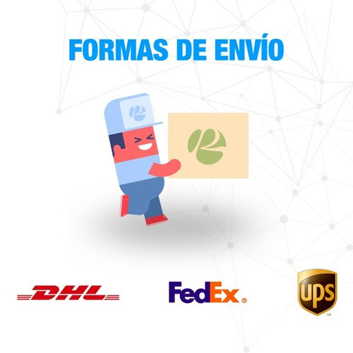 Manual De Reparación Y Tratamiento De Fracturas En Pequeños