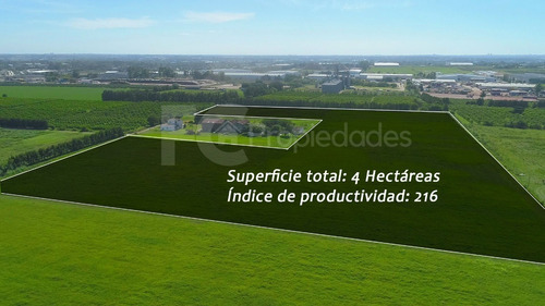Imagen 5 de 21 de Venta Campo 11 Has Rincon Del Cerro Montevideo