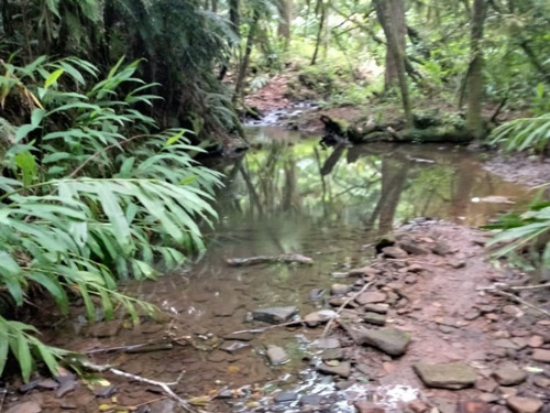 Chácara 17.800 M² - Fazenda Fialho - Taquara - Rs - 2060 - 33624263