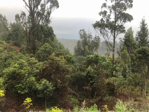 Vendo Lote En Conjunto Cerrado En La Calera