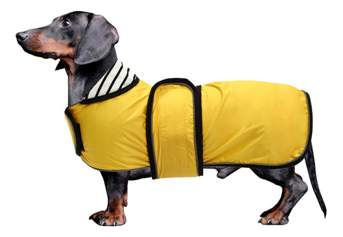 Dachshund Impermeable Impermeable, Perfecto Para Dachshund S