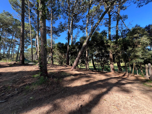 Lote Residencial Con Salida Al Golf En Carilo