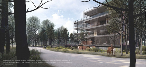 Imagen 14 de 18 de Proyecto Nativa, Pinamar Norte La Frontera, Departamentos Premium