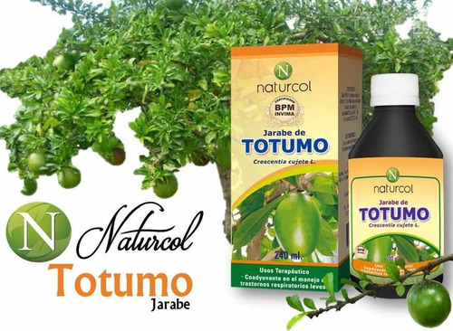 Totumo Jarabe 240 Ml. Naturcol - Unidad a $22900