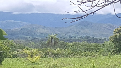 Terreno En La Queroga,aranjuez ,pitahaya De Puntarenas 