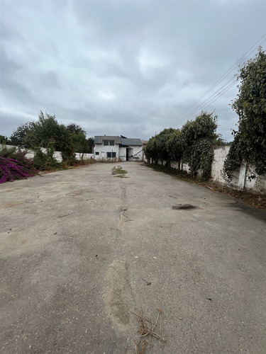 Arriendo Local Comercial Sector Céntrico Y Urbano Quillota