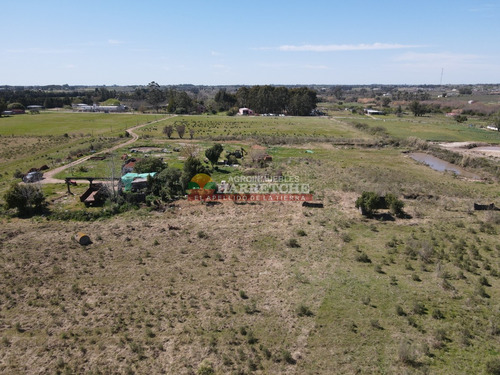 Chacra En Venta 7 Has. Montevideo Rural, A 1 Km De Camino Mendoza