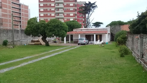 Imagen 5 de 13 de Lote Zona Constitucion + Vivienda