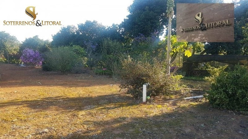 Imagem 4 de 15 de Chácara ¿ Suzano -sp - Chácara A Venda No Bairro Suzano - Suzano, Sp - 247