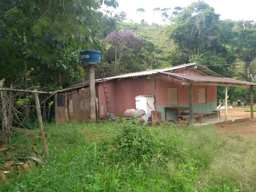 Chacara Proximo A Vicosa Maravilhosa Contem Casa Boa, Pomar, Escritura Na Mao, Pronta Pre Vc E Sua Família Desfrutar Dessa Maravilha - 5470