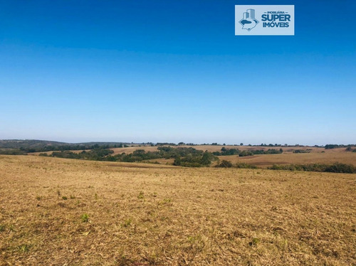 Imagem 2 de 9 de Fazenda A Venda No Bairro Centro Em Herval - Rs. - 2236-1