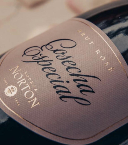 Imagen 2 de 2 de Champagne Norton Cosecha Especial Rosado Botella X 750ml Mcg