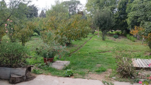 Por Viaje Se Vende Parcela: Casa, Pozo, Arboles Frutales