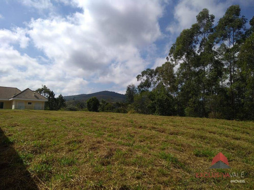 Imagem 3 de 10 de Terreno À Venda, 12000 M² Por R$ 478.000 - Tapanhão - Jambeiro/sp - Te0870