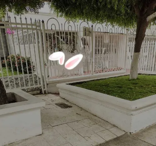 Se Vende Casa En El Limoncito