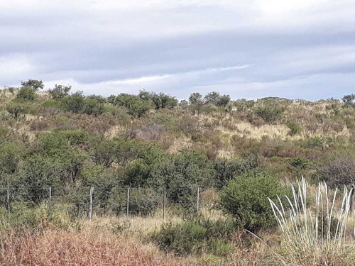 Imagen 8 de 11 de Campo De 350 Has.en San Luis , (gran Oportunidad) Dño Direct