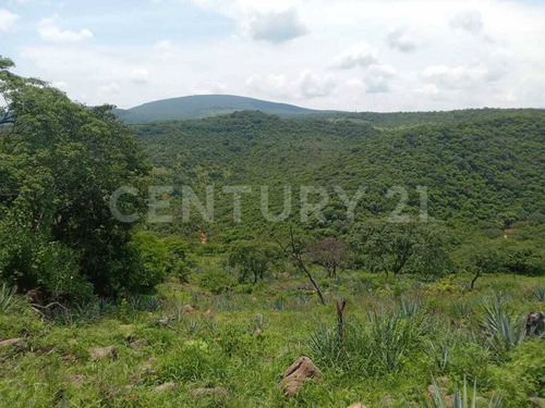 Terreno Rústico En Venta!!! Ayotlan, Jalisco