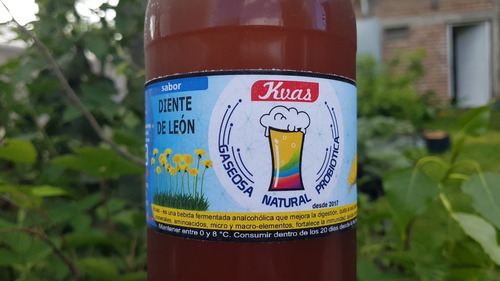 Kvas - Gaseosa Natural Probiótica, Como Kefir - 6 Litros